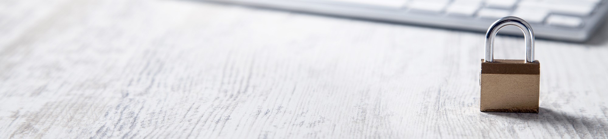 Banner - Neues aus der Entwicklung: otris privacy mit ISMS